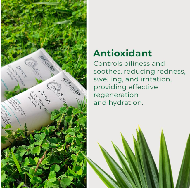 Kit Cronology Detox Sweet Professional